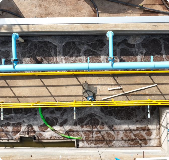 Leading the Way in Waste Reduction and Sustainability: