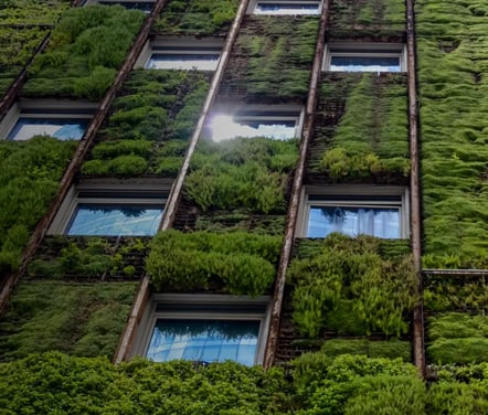 Sustainability as a driver for growth
