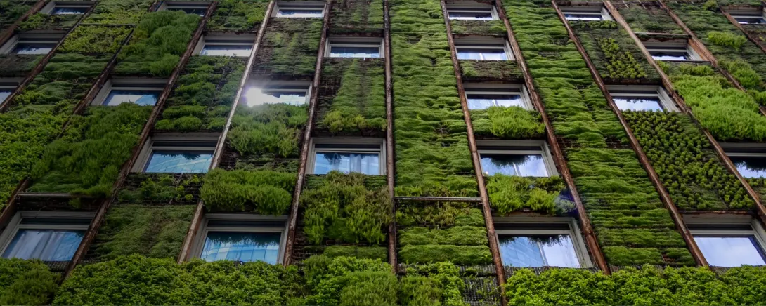 Sustainability as a Driver for Growth